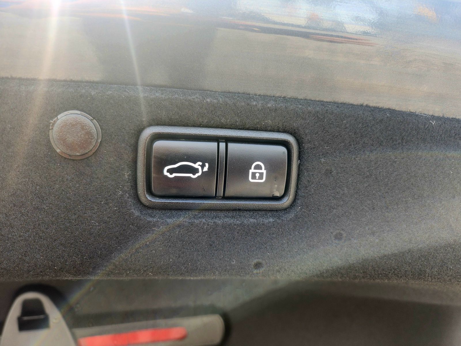 Image 19