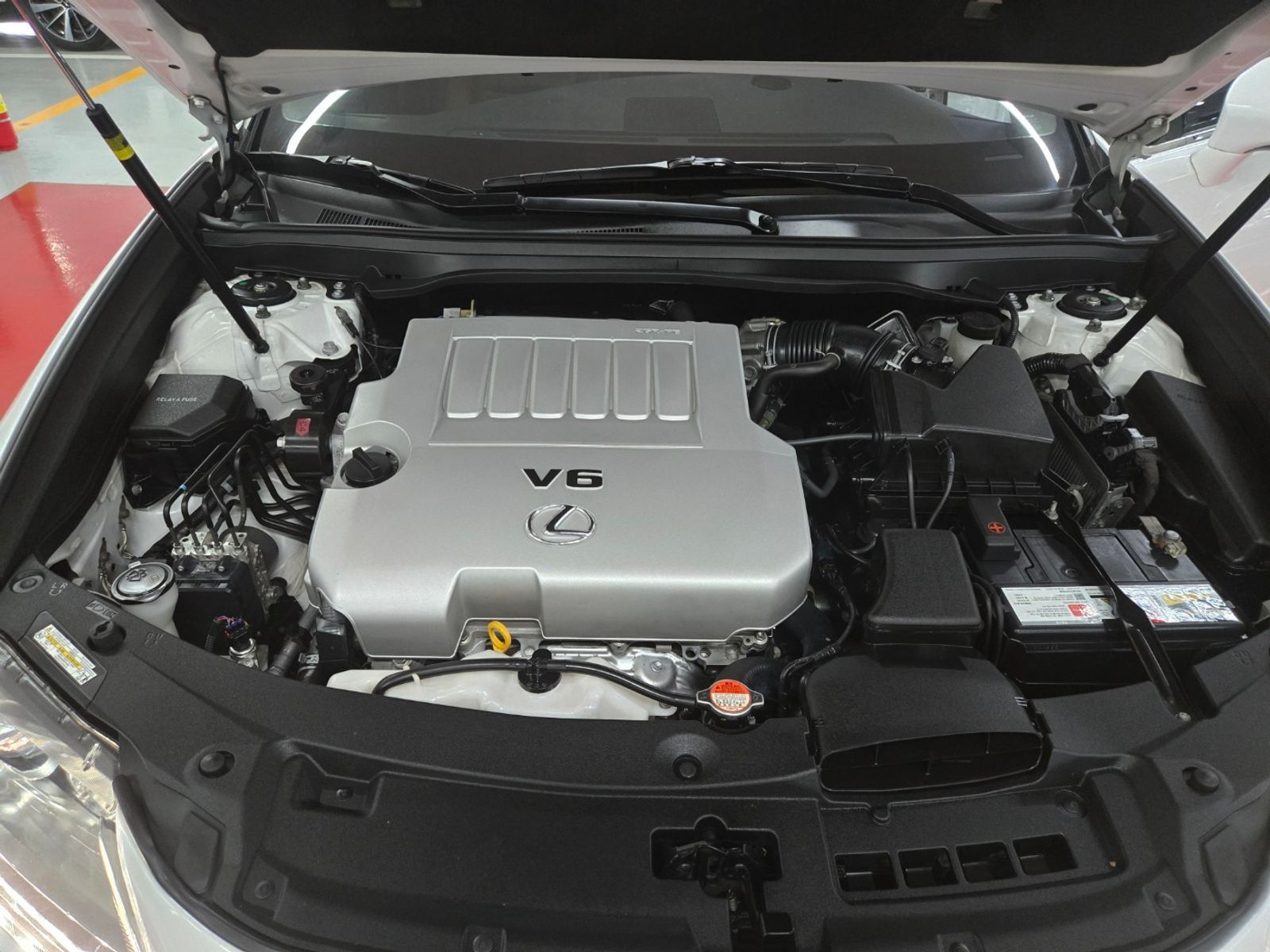 Image 5