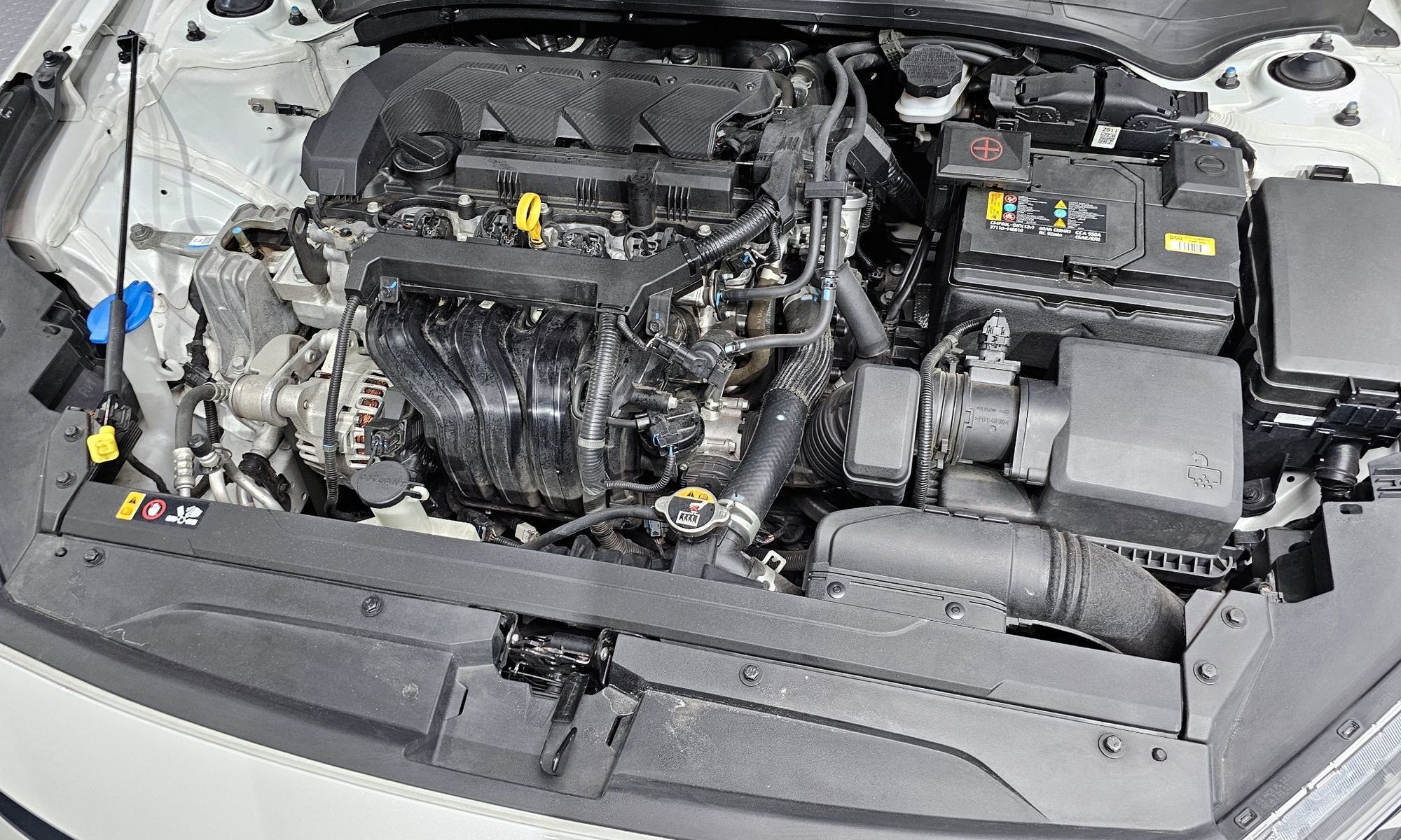 Image 5