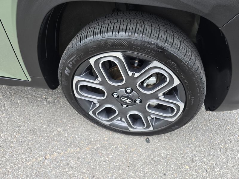 Image 8