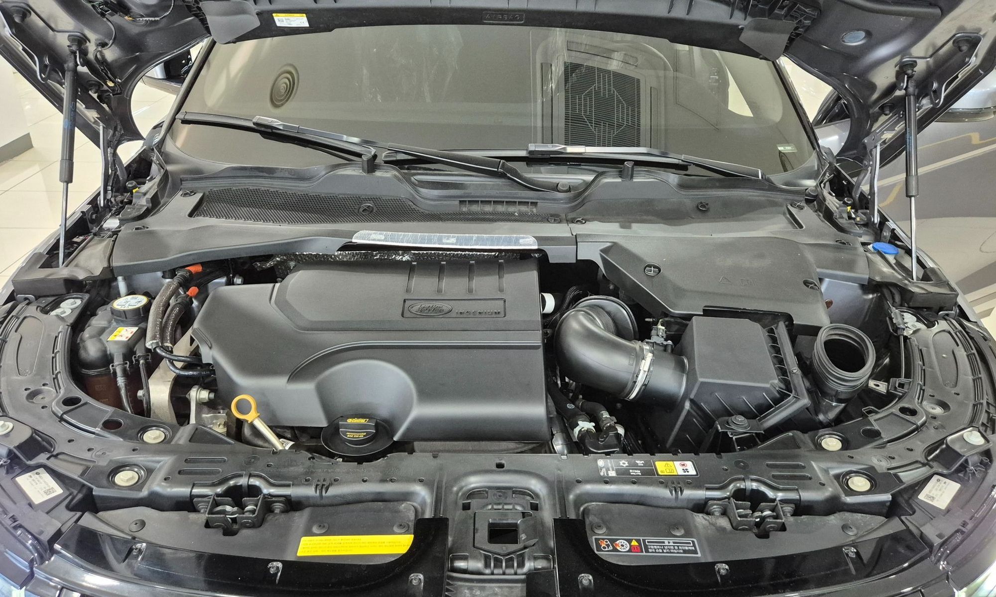 Image 5