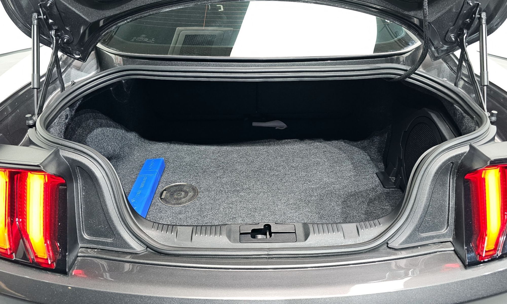 Image 19