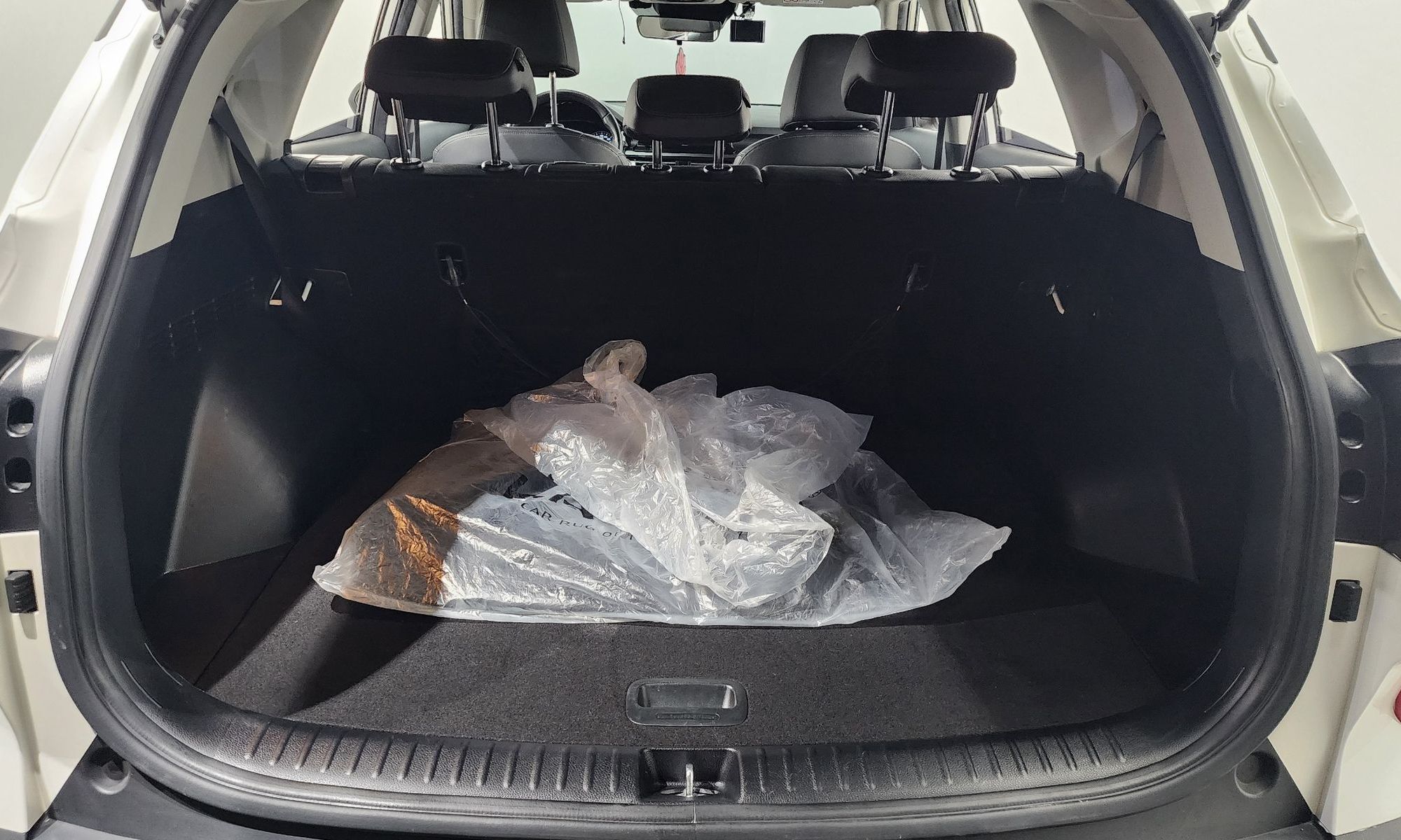 Image 19