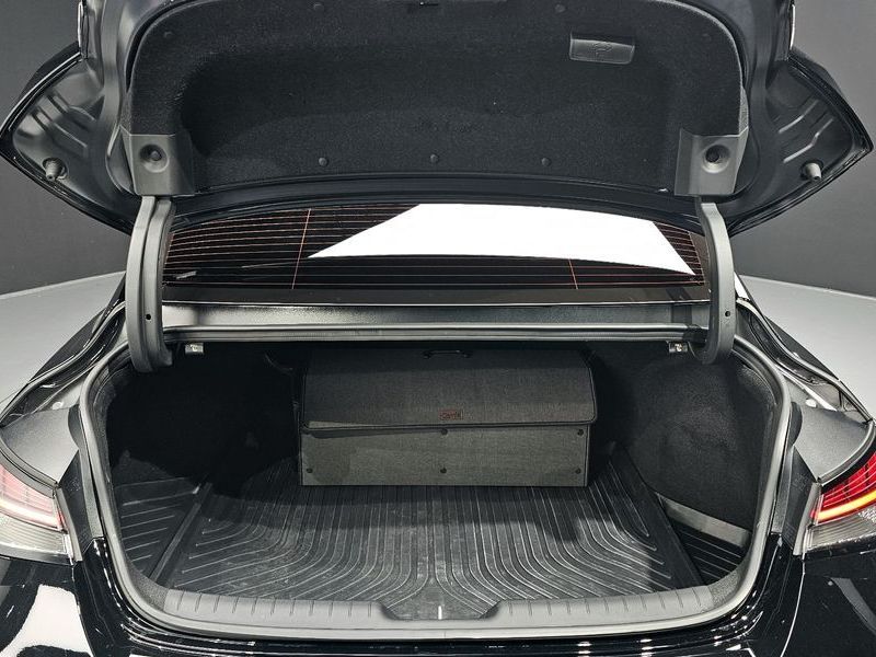 Image 19
