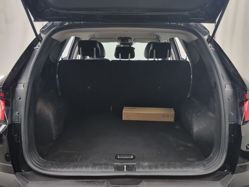 Image 19