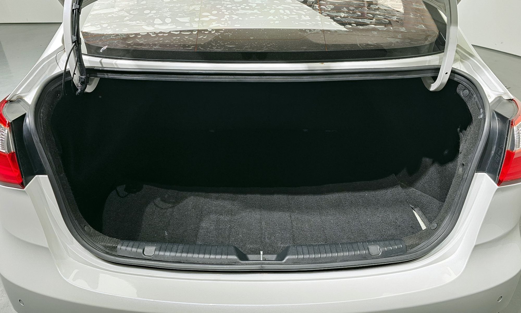 Image 19