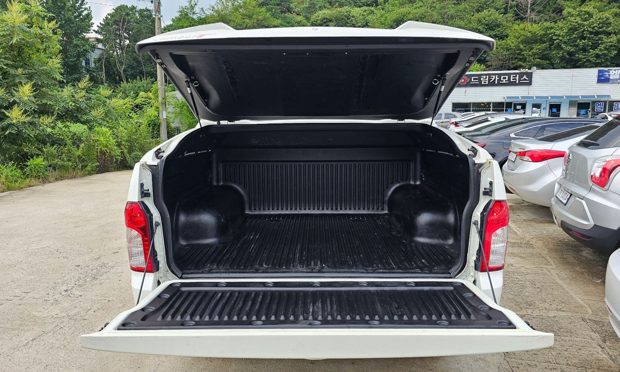 Image 19