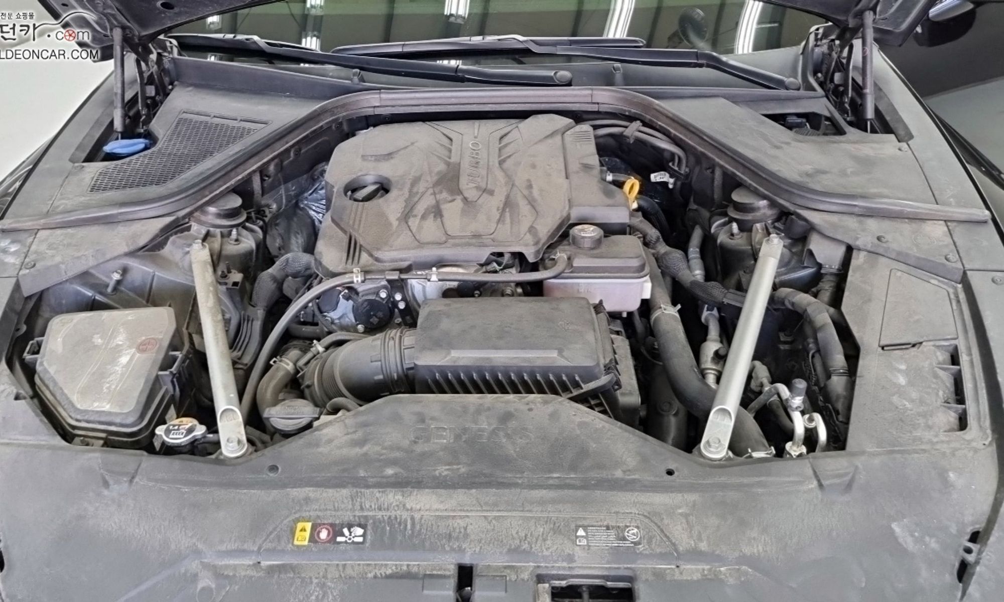 Image 5