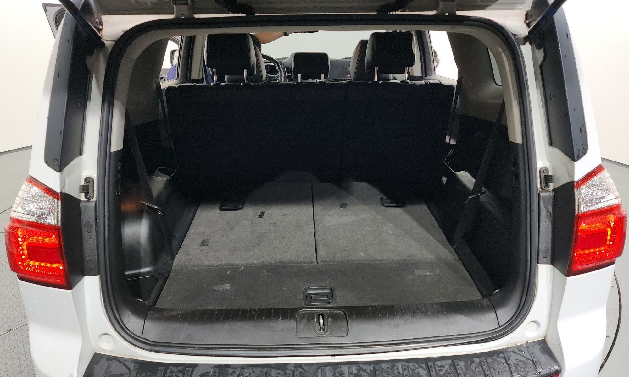 Image 19