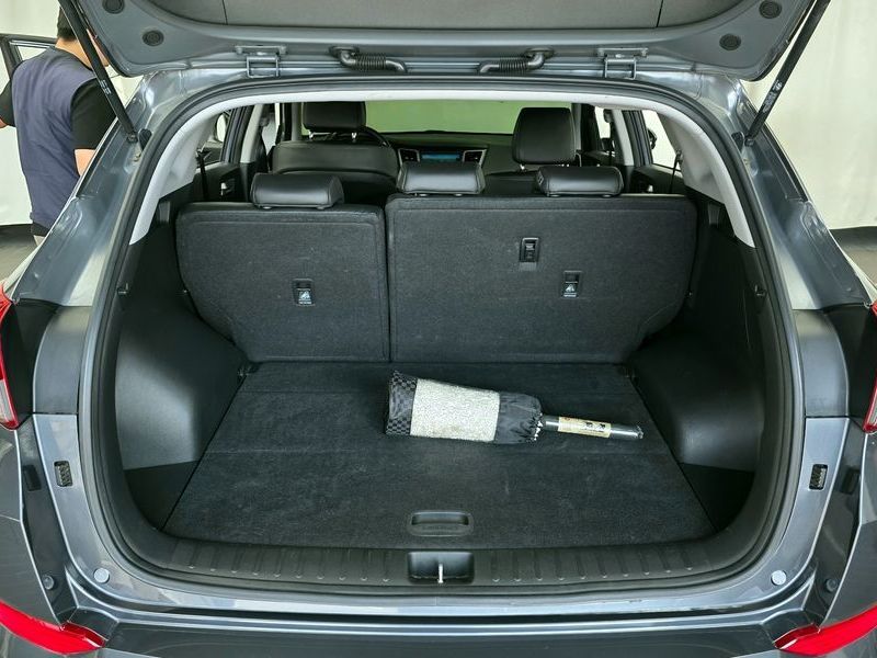 Image 19