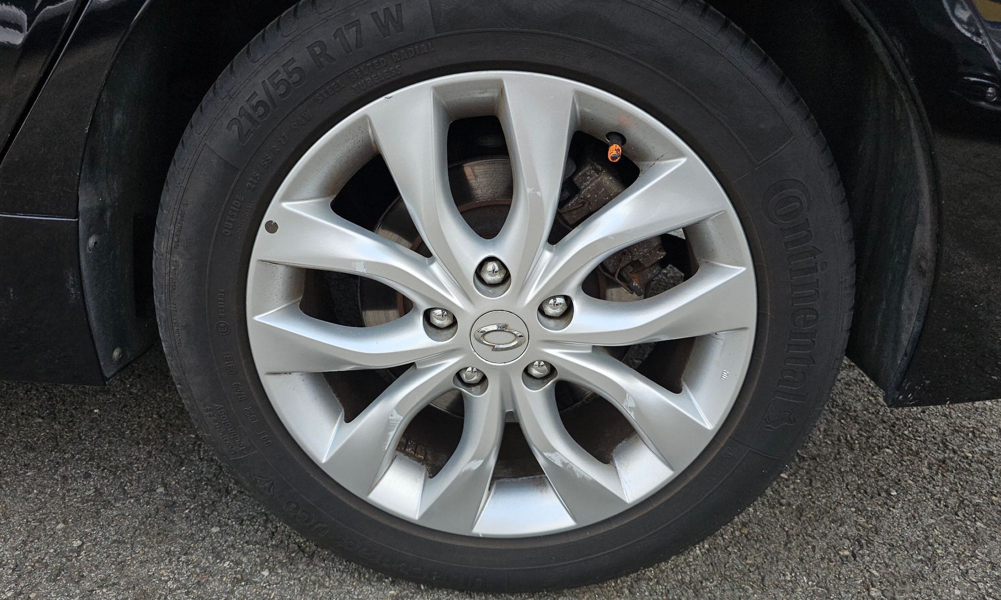 Image 4