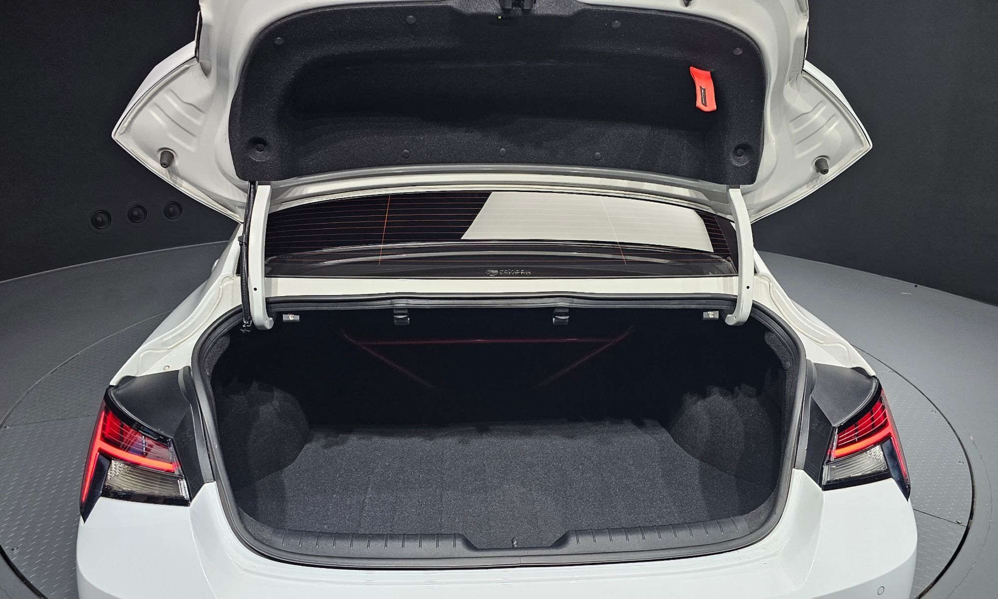 Image 19
