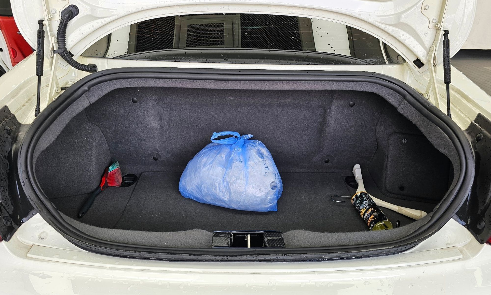 Image 19