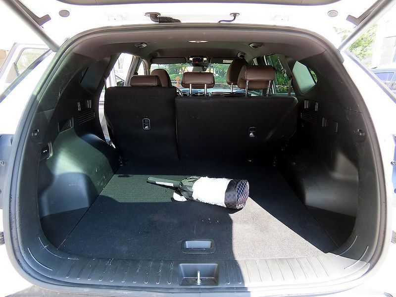 Image 19