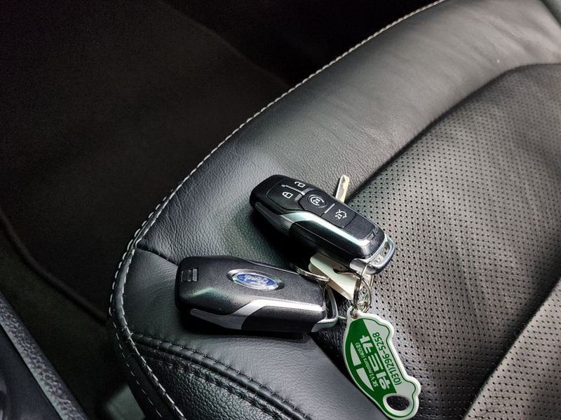 Image 14