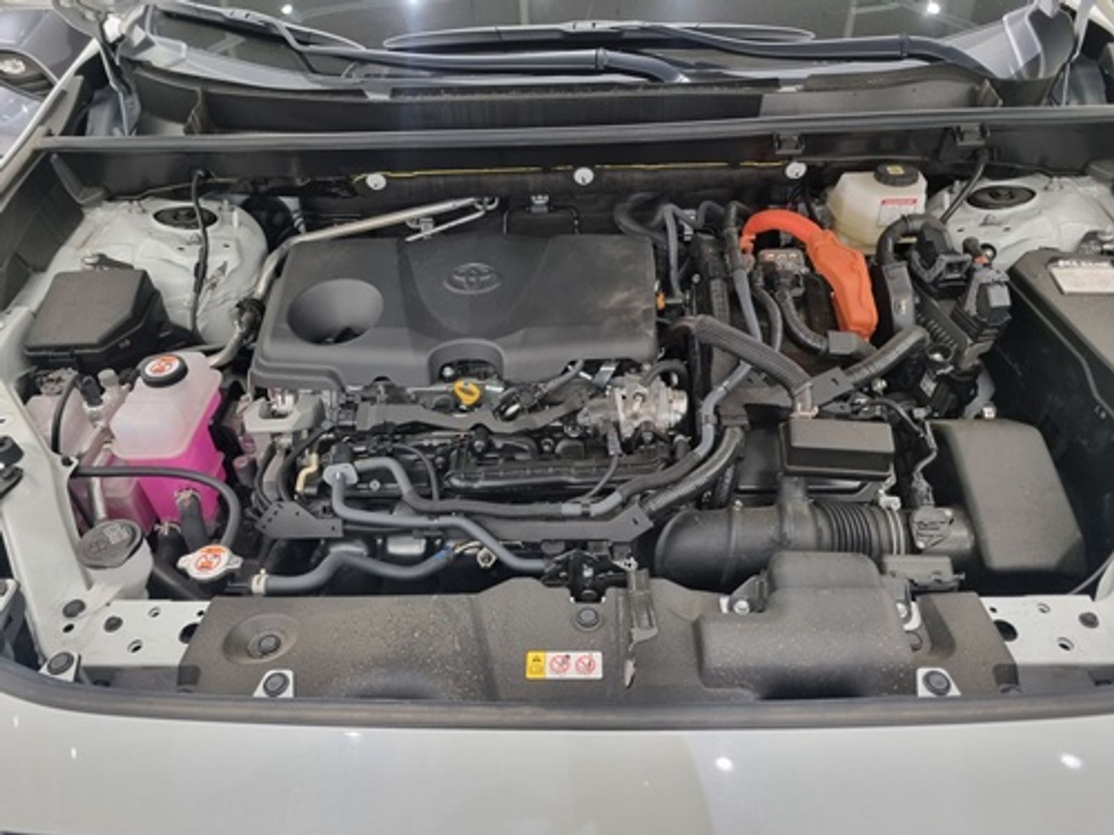 Image 5
