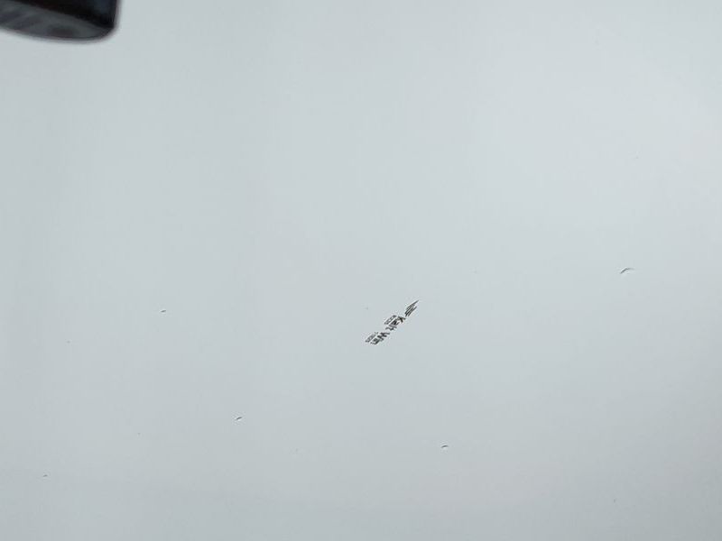 Image 27