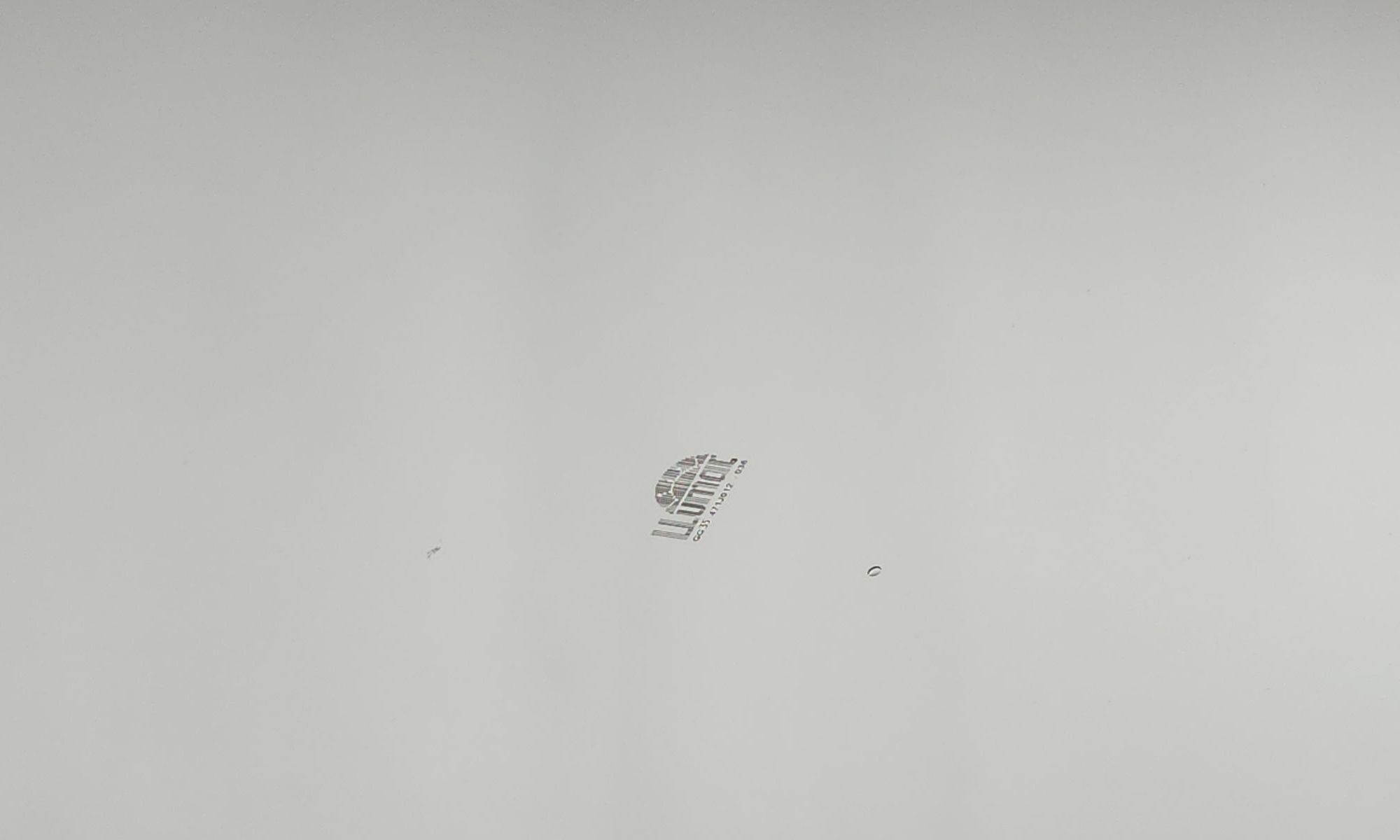 Image 19