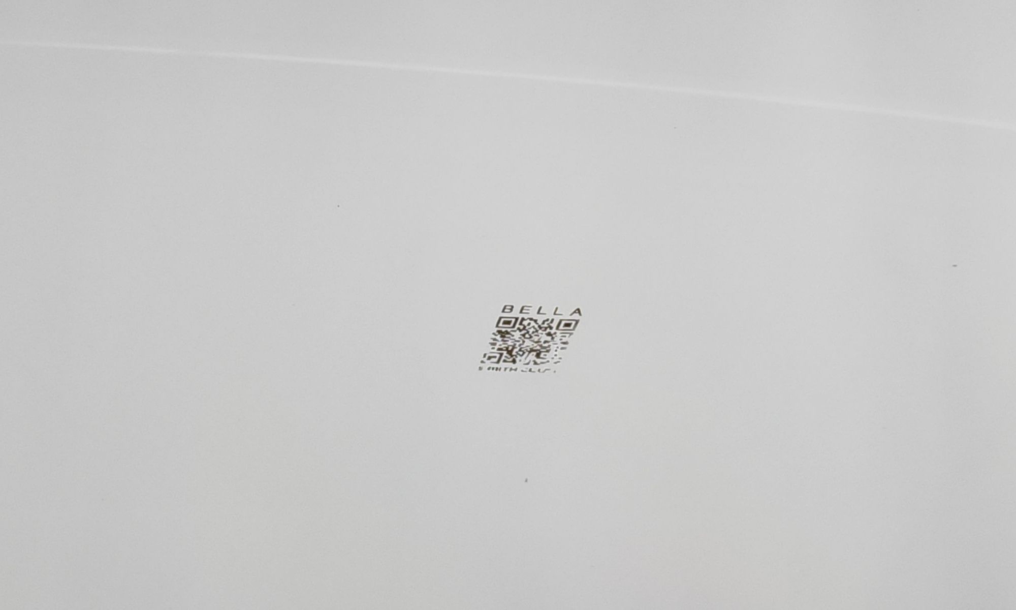 Image 19