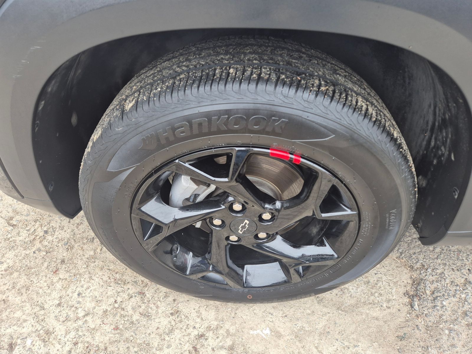 Image 8