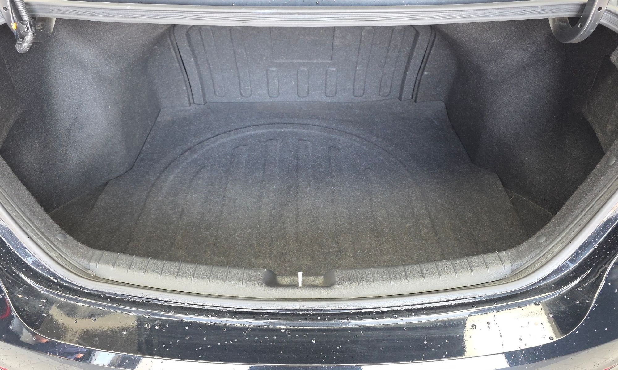 Image 19