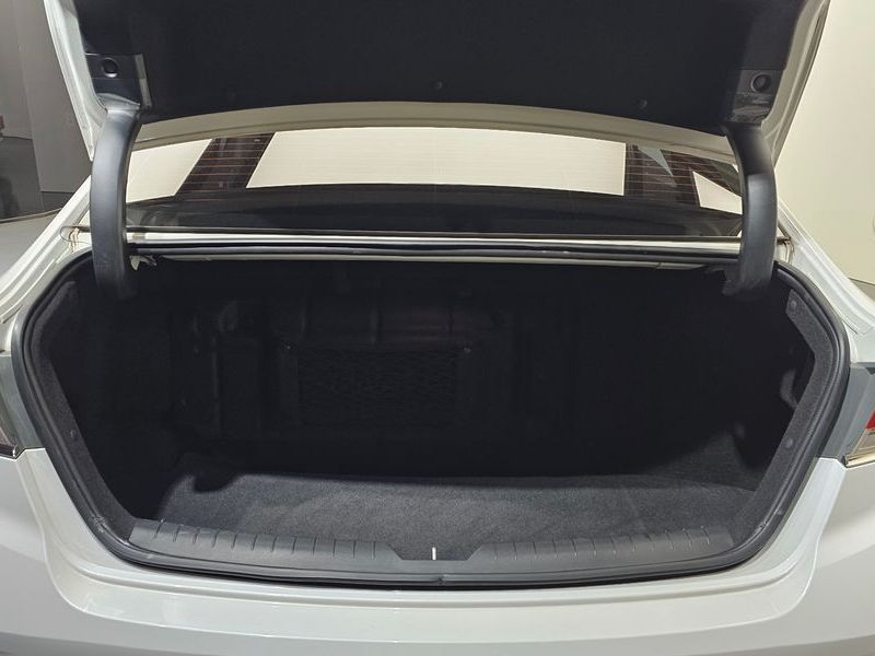 Image 19