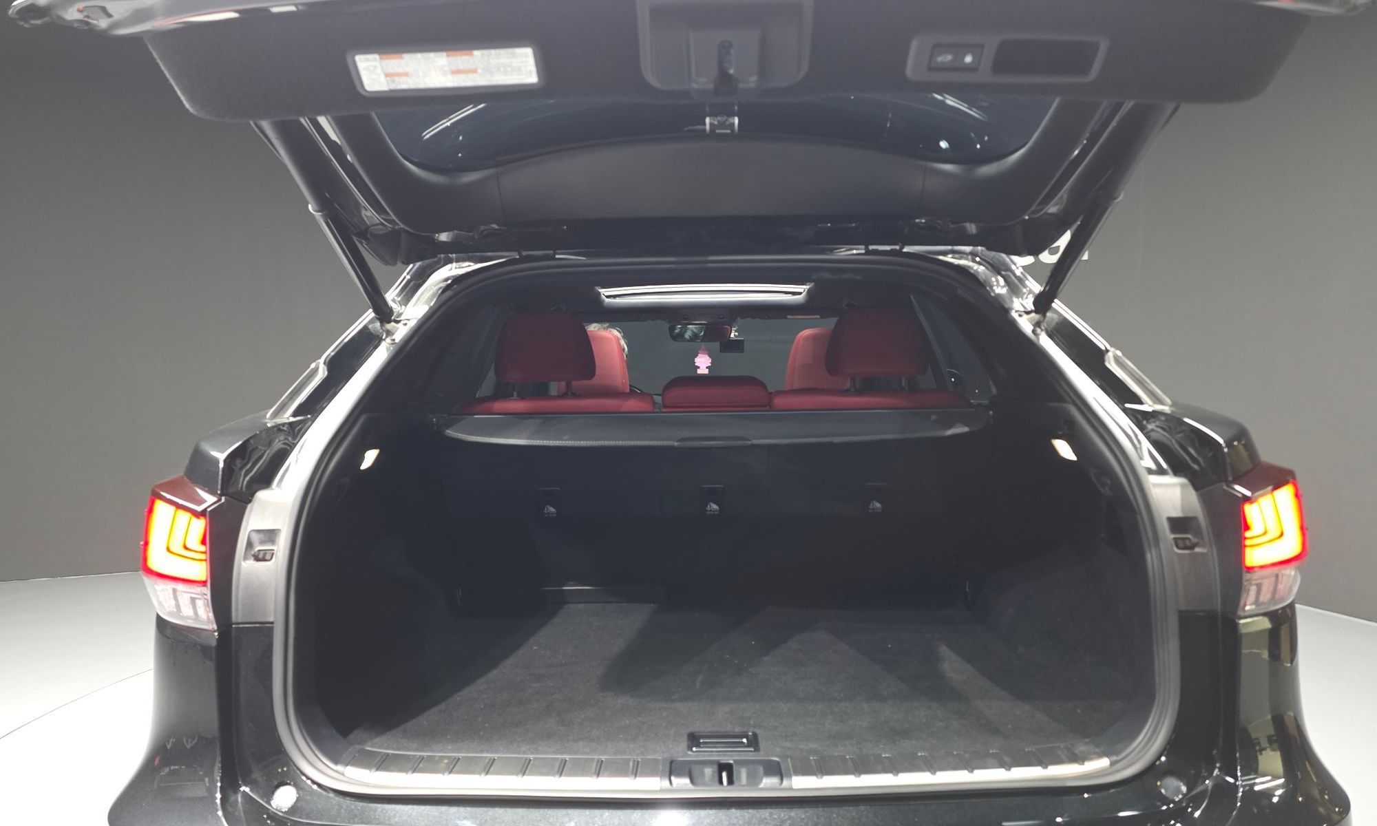Image 19