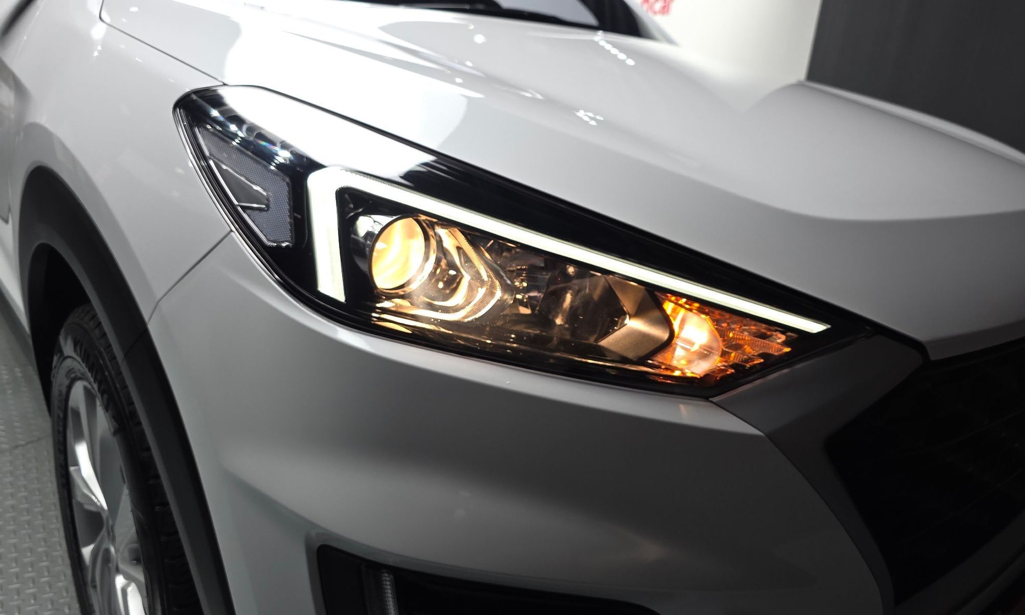 Image 21