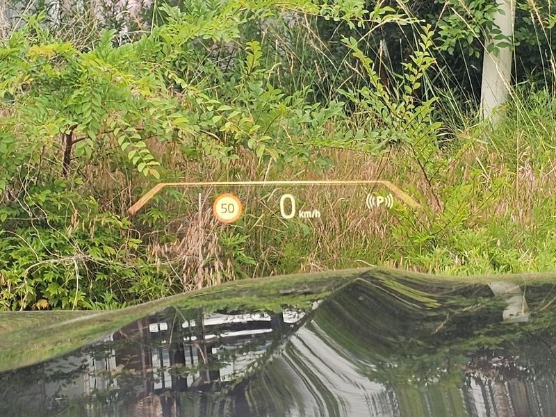 Image 29