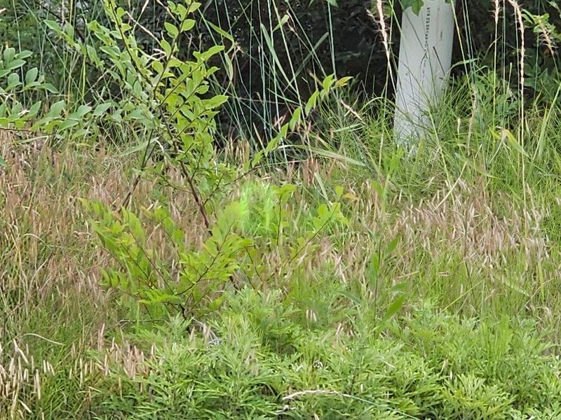 Image 18