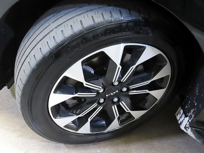 Image 19
