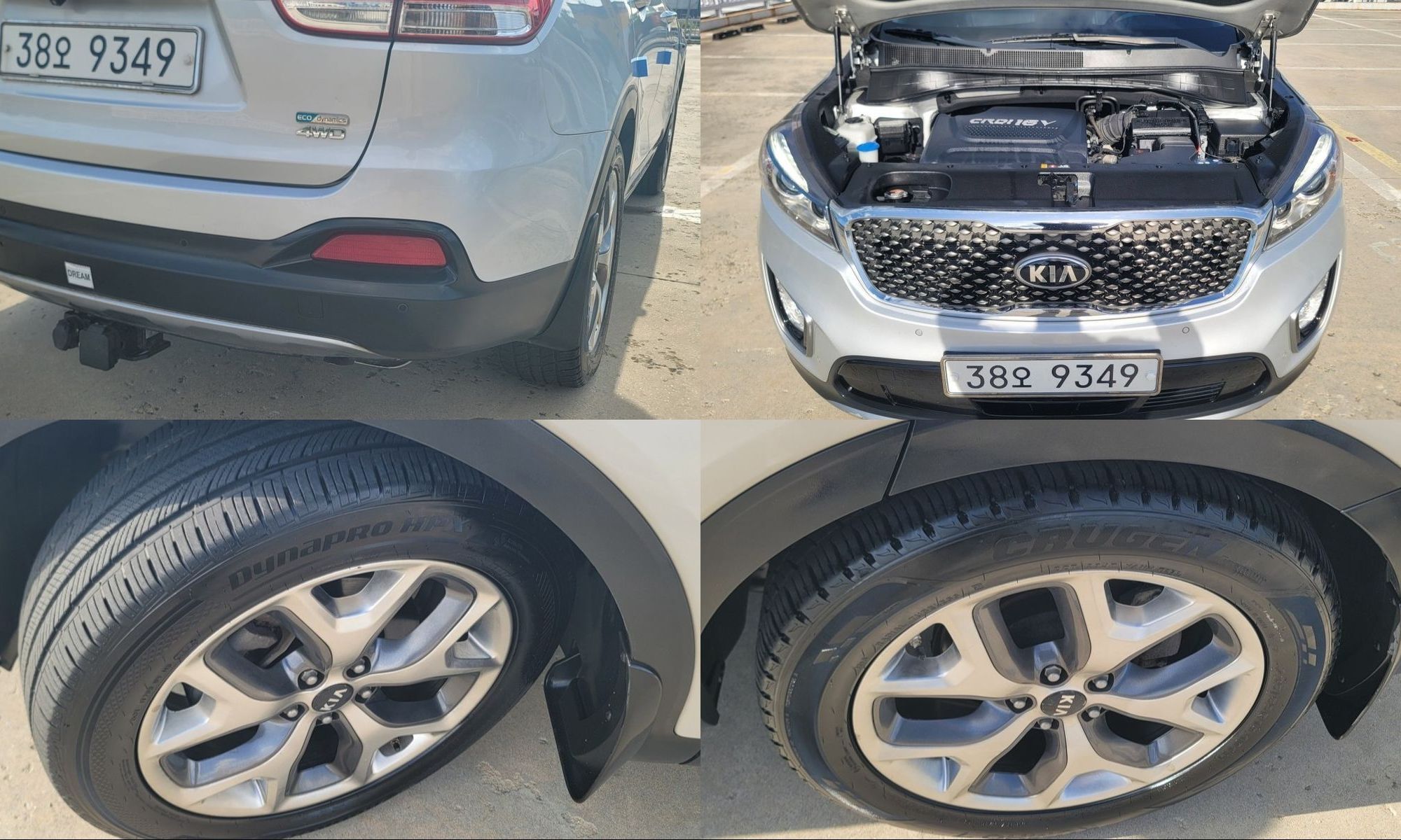 Image 19