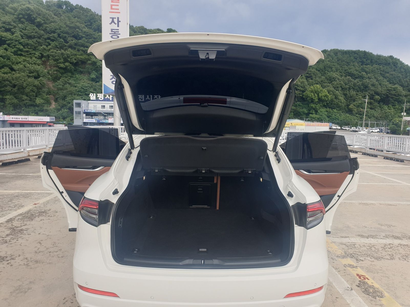 Image 12