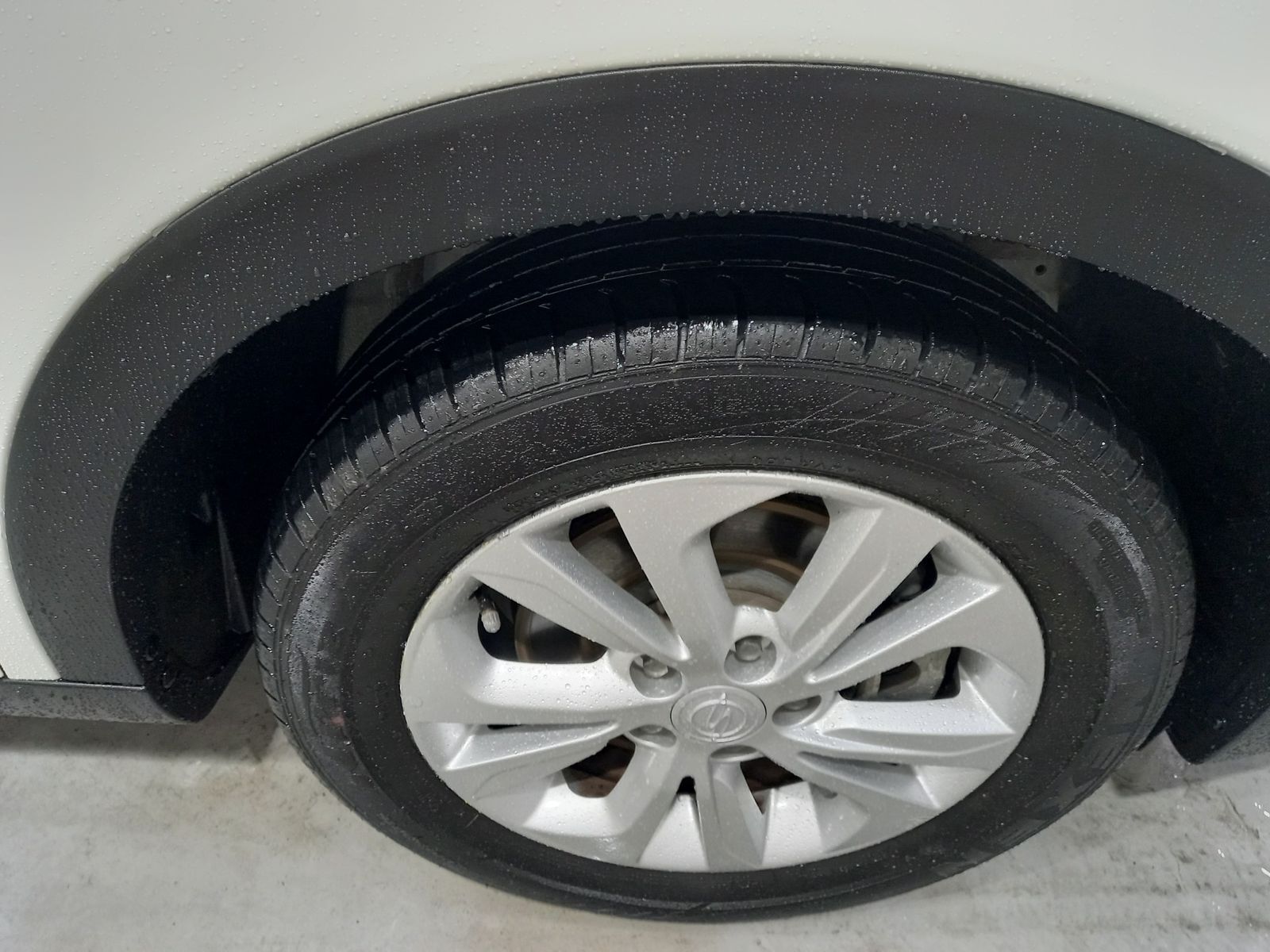 Image 5