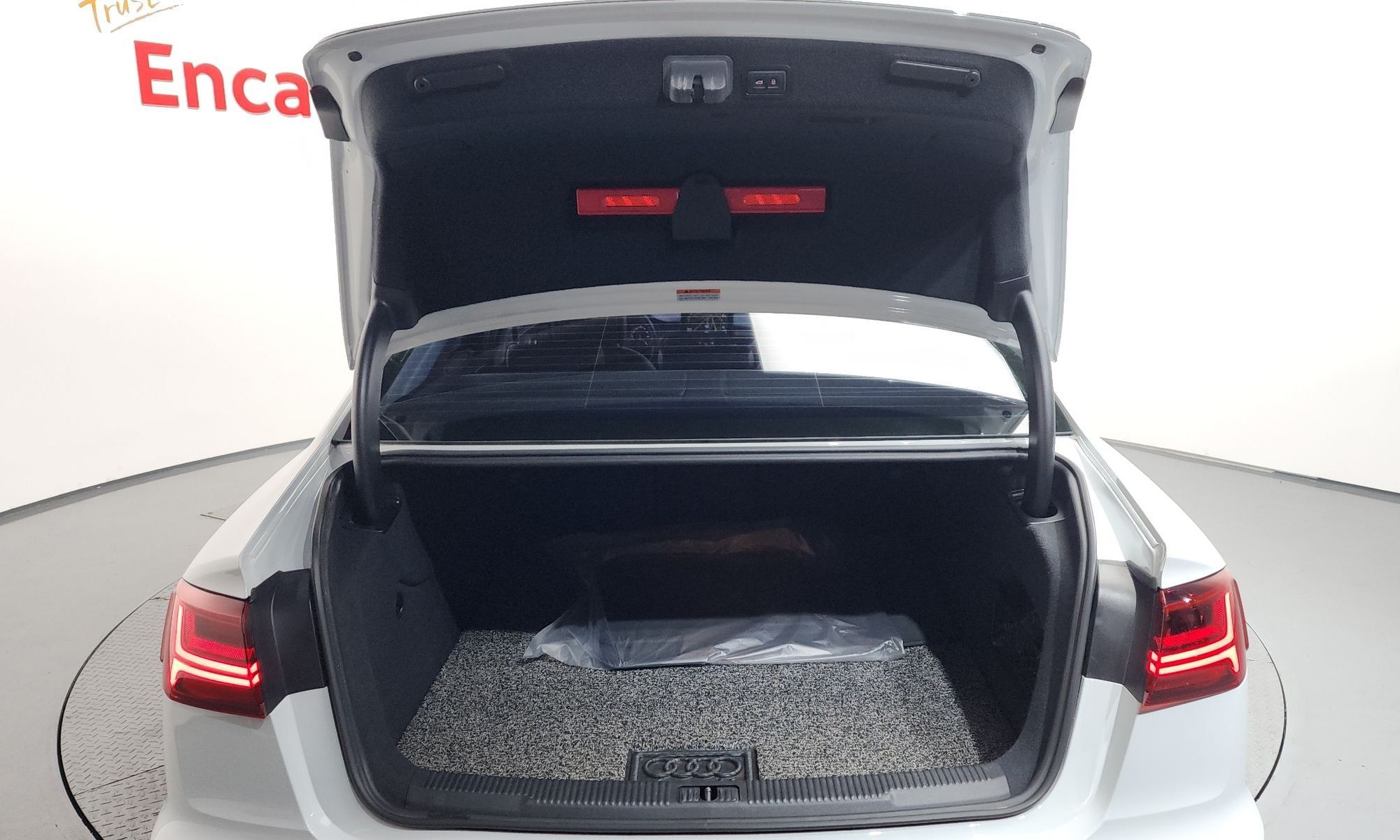 Image 19