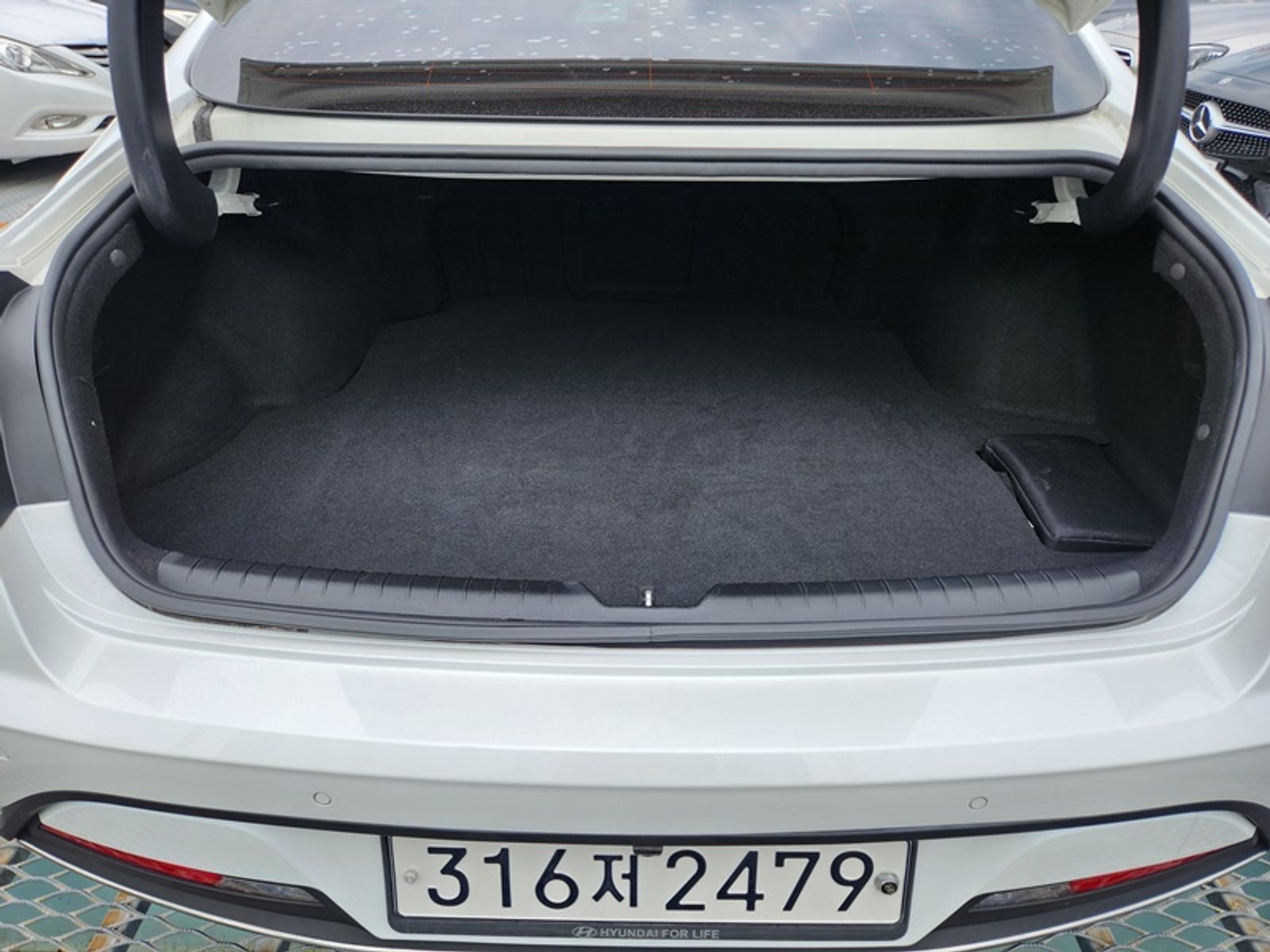 Image 19