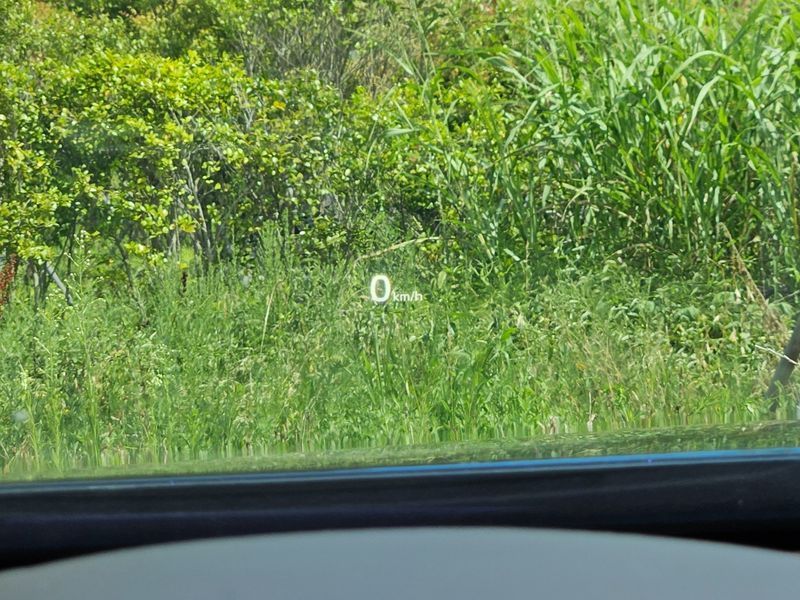 Image 17