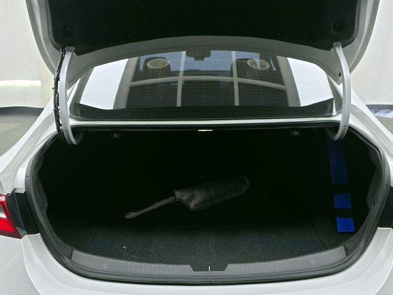 Image 19