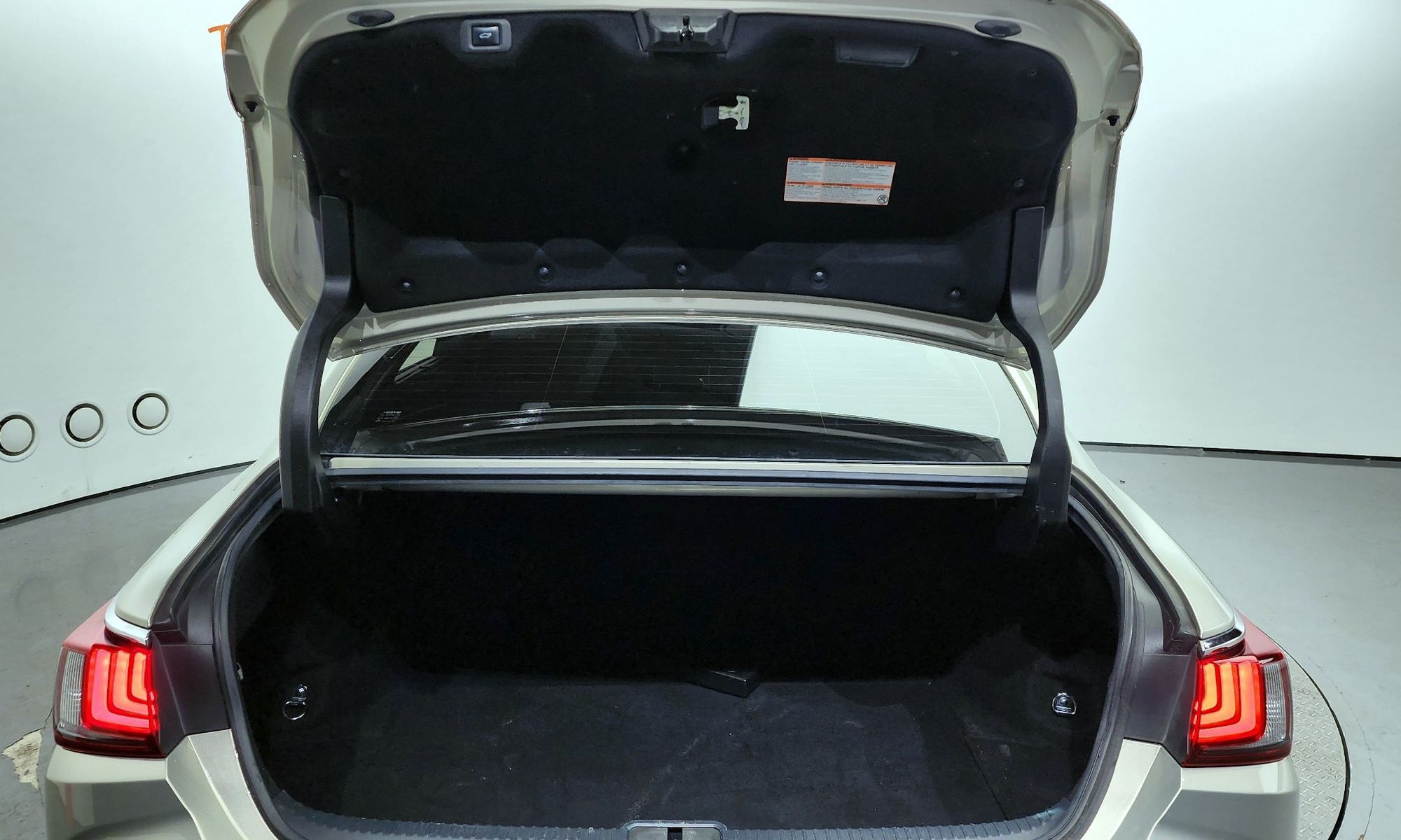 Image 19