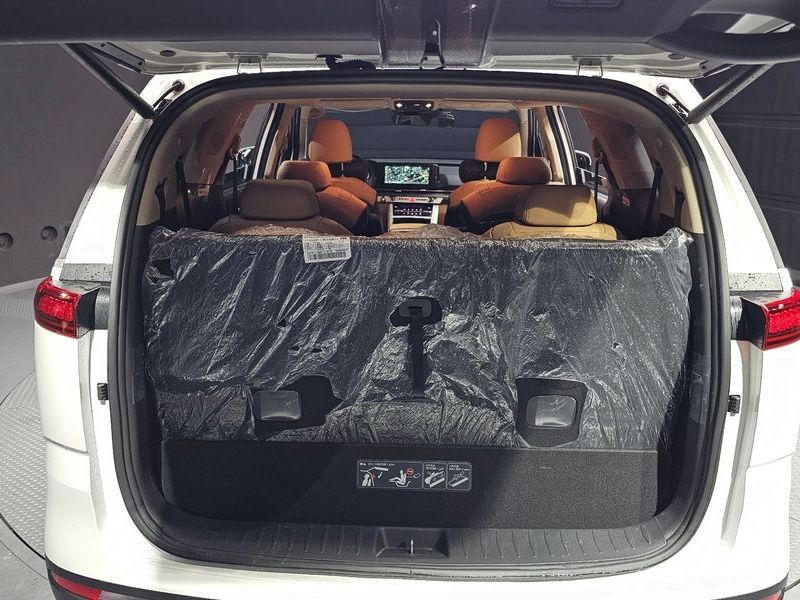 Image 19