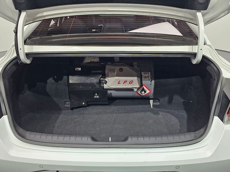 Image 19