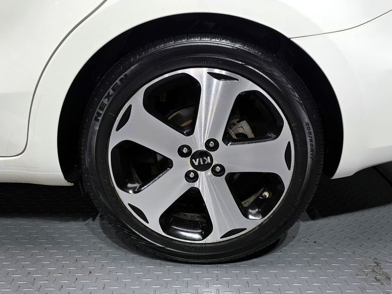 Image 4