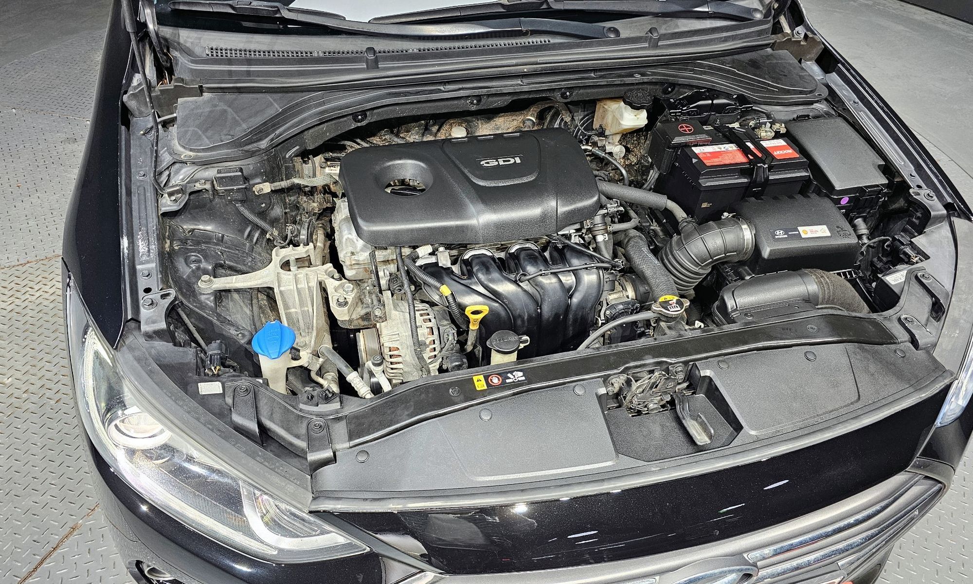 Image 5