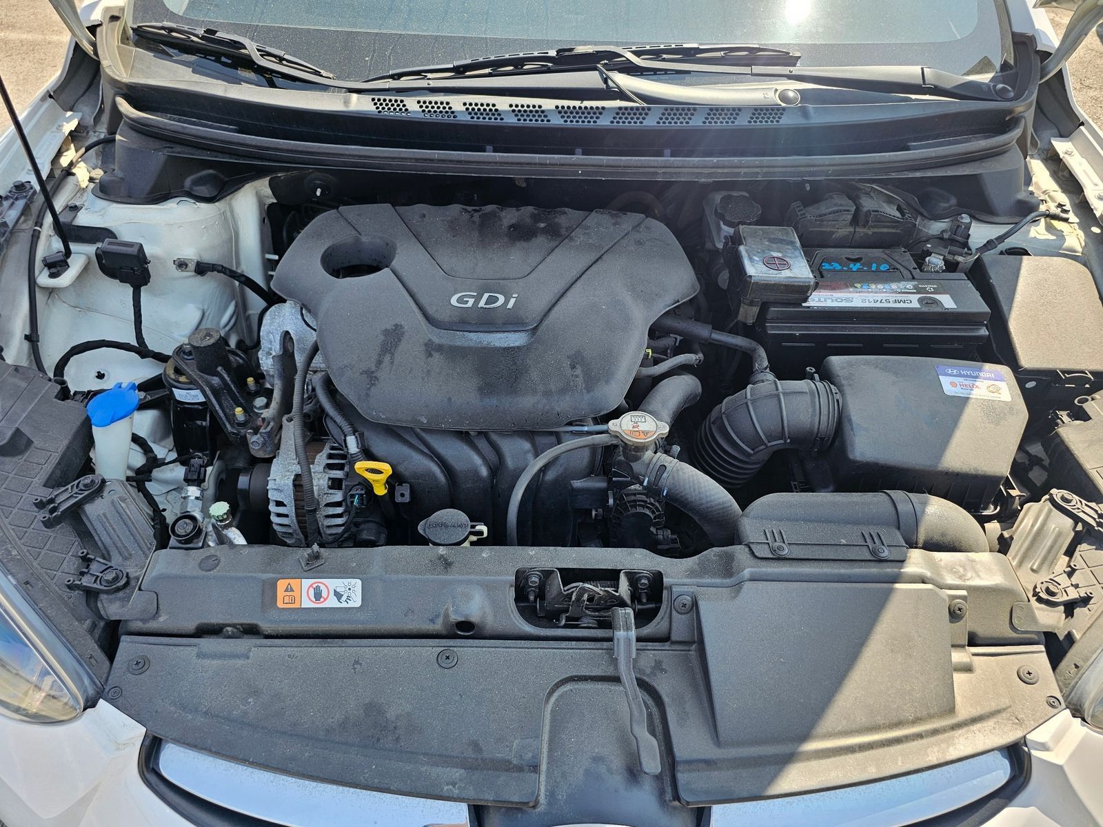 Image 5