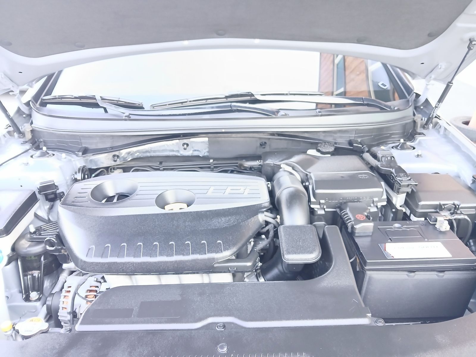 Image 5