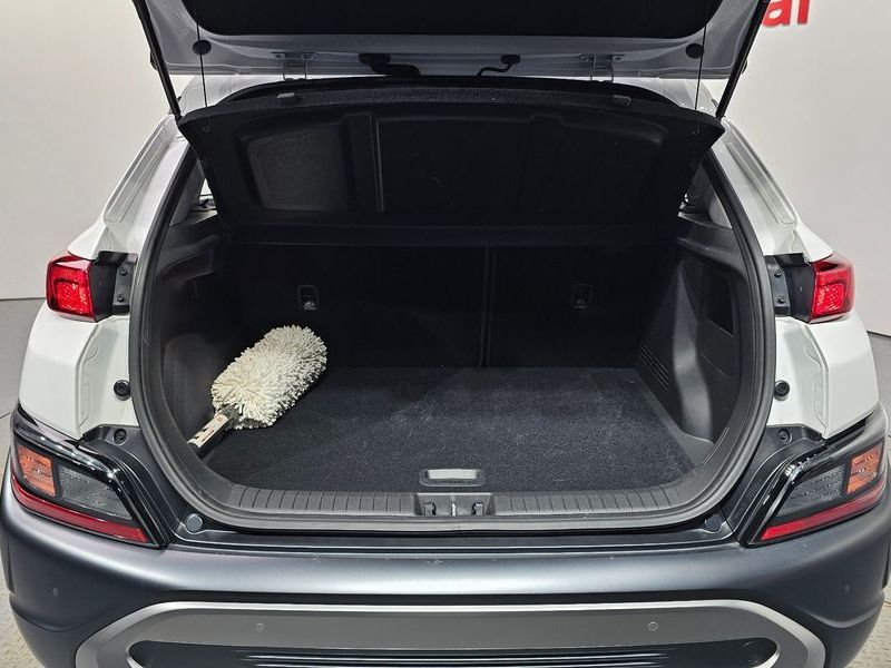 Image 19