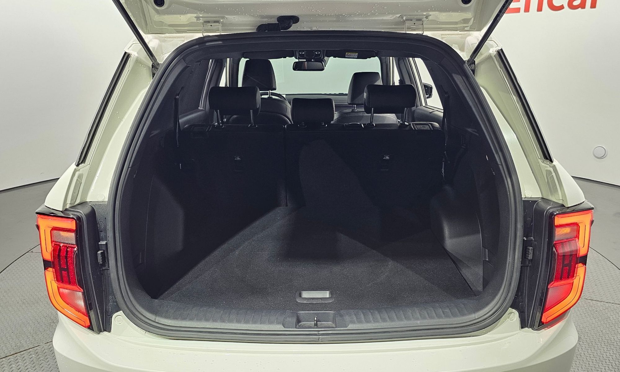 Image 19
