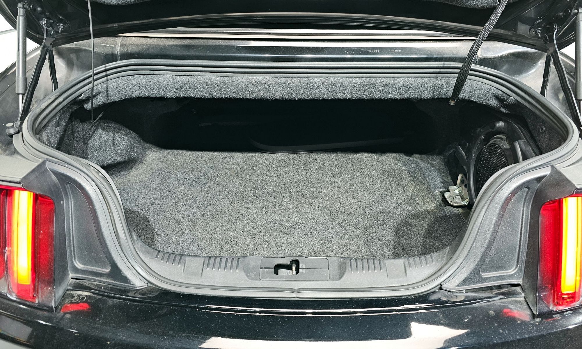 Image 19