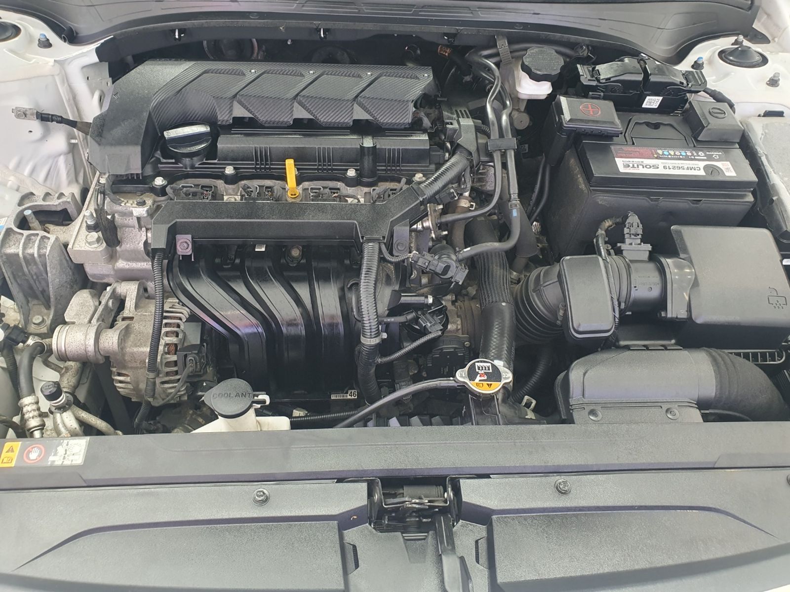 Image 5