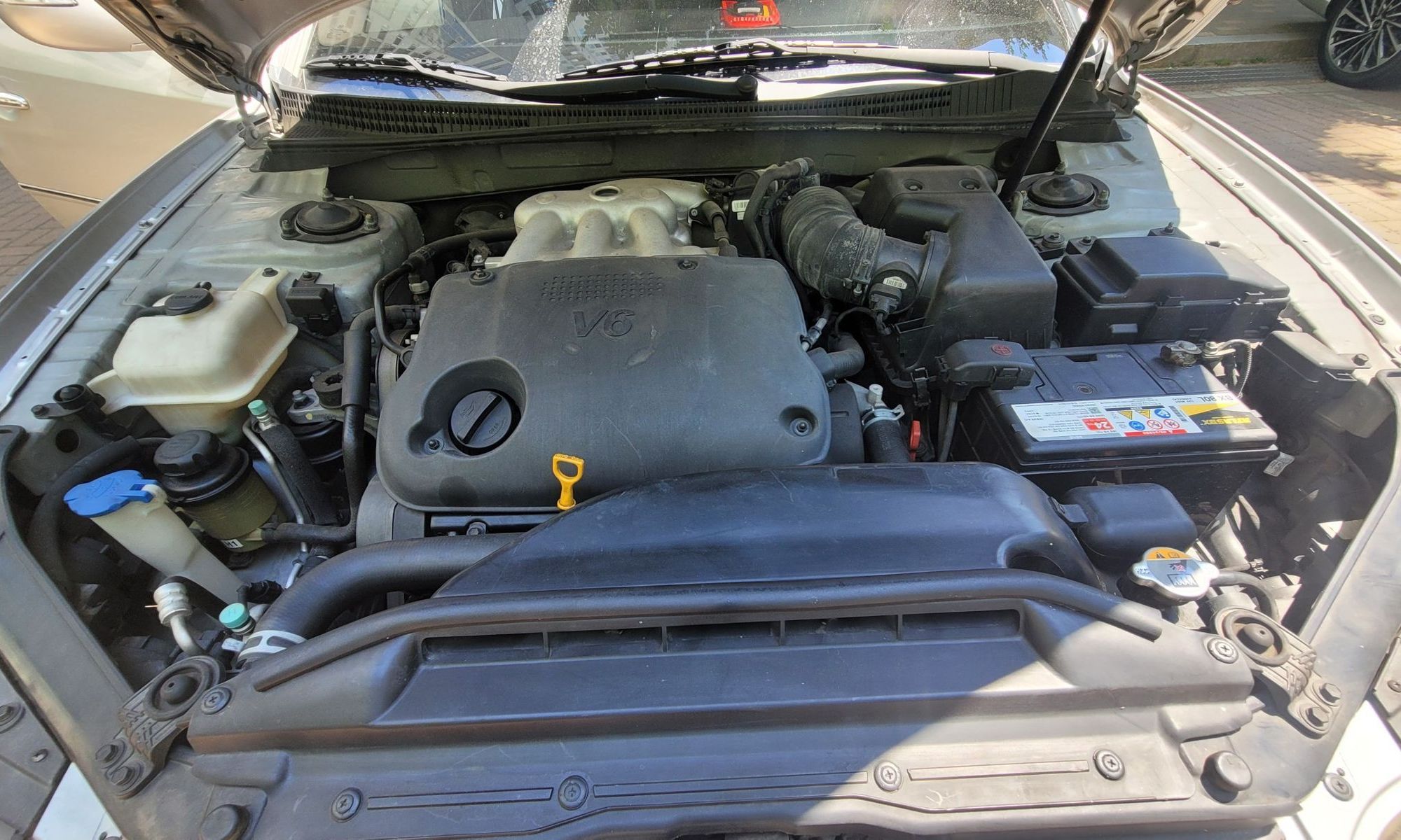Image 7